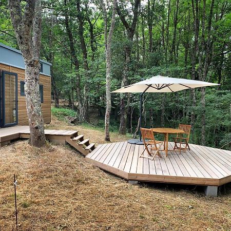 Tiny House Autonome En Pleine Nature Albieres Экстерьер фото
